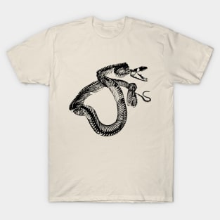 The bony snake T-Shirt